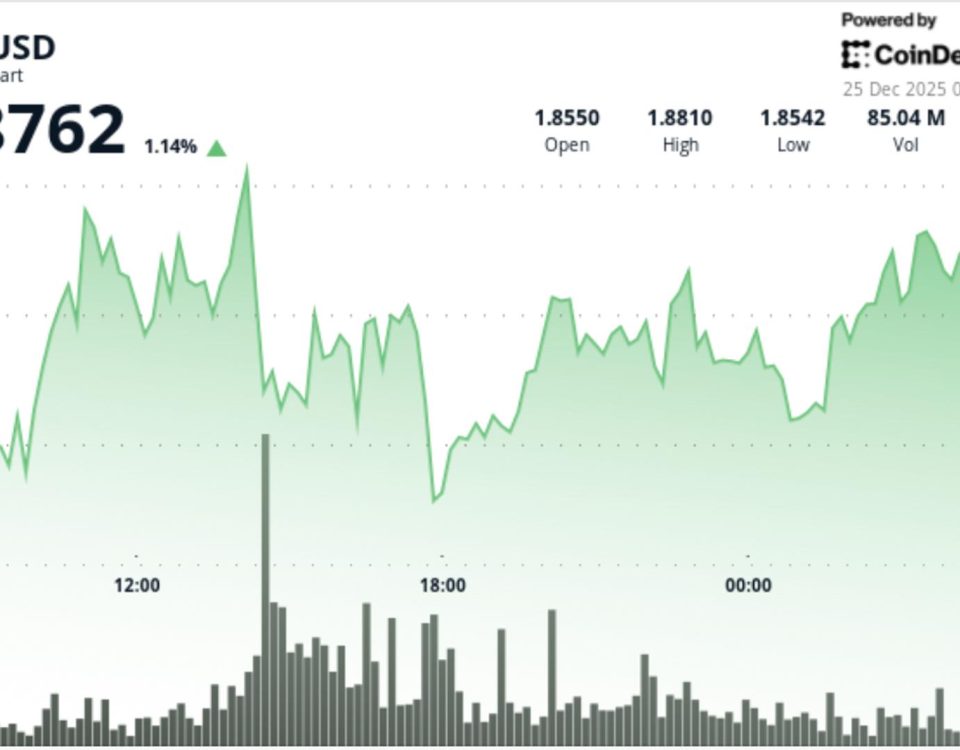 91f0759fc1befe913bddfb129949fbb369117162 1188x740 yyfzmb